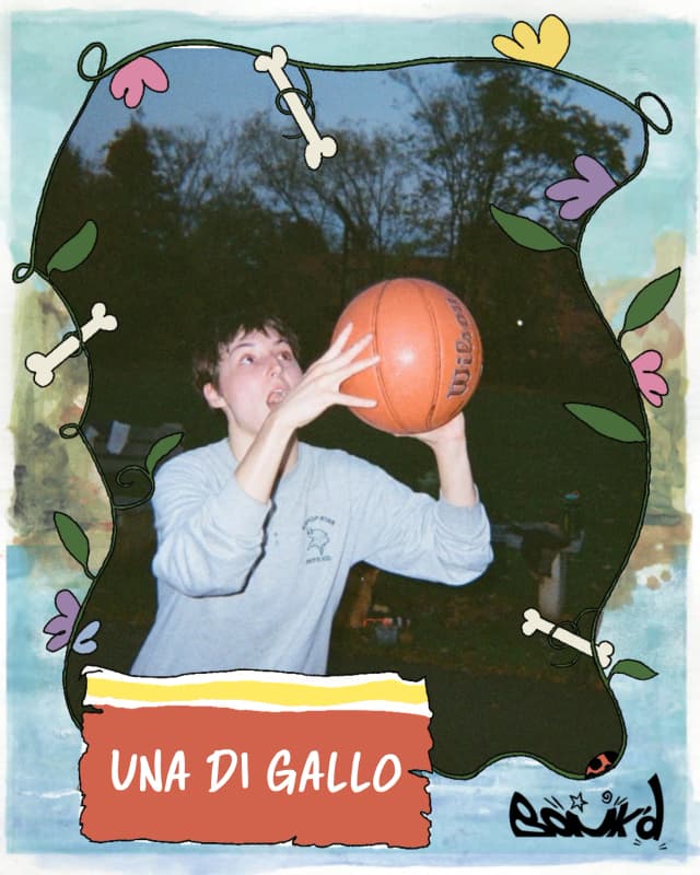 Una Di Gallo