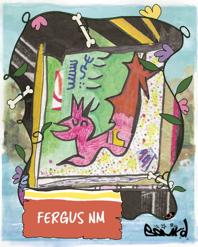 Fergus Nm